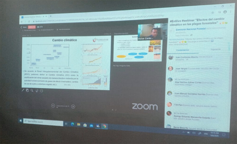 webinario-inafor-